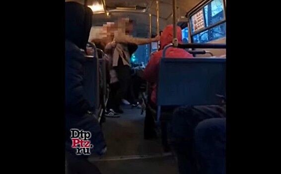 В Петрозаводске пассажиры дерутся и плюют другу другу в лицо из-за мест в общественном транспорте