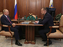 Путин оценил онлайн-сервис по оформлению земли