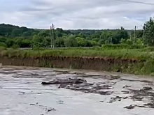 В Крымском районе Кубани включили сирены из-за подъема уровня реки