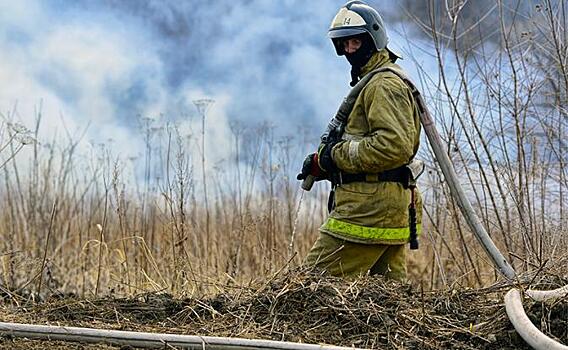 Площадь лесных пожаров в России за сутки выросла на 67 тыс. га