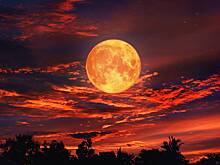 «Кровавая Луна Червя» появится в небе над Россией 3 марта