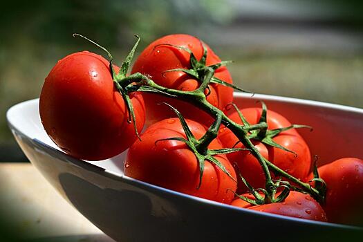 Эксперты назвали лучший перекус после тренировки