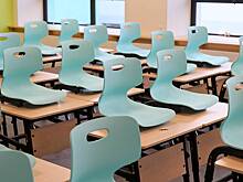 Депутат запросила отчет о проверках условий жизни убитого в Петербурге мальчика