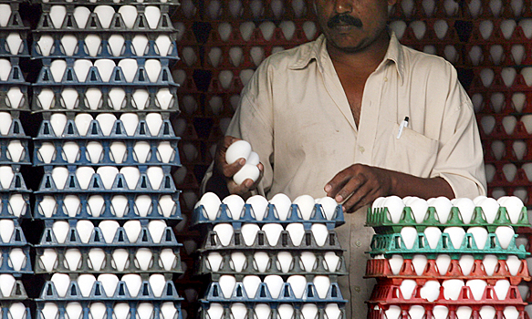 Индиец умер после поедания 41 яйца на спор