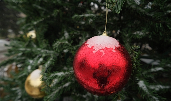 Как и от чего волгоградцы могут застраховать новогодний декор