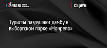 Туристы разрушают дамбу в выборгском парке «Монрепо»