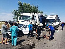 Девять автомобилей столкнулись в Ростовской области, есть погибшие