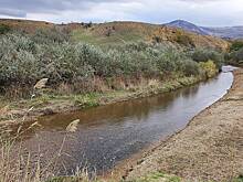 В российском регионе КамАЗ упал с моста в реку из-за взорвавшегося колеса