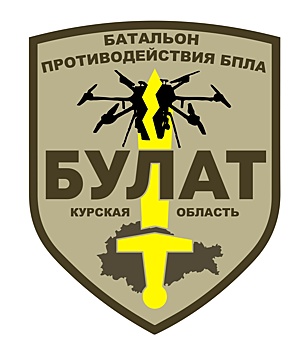 В Курской области создается спецбатальон для борьбы с БПЛА