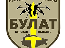 В Курской области создается спецбатальон для борьбы с БПЛА
