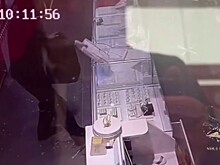 Любитель ювелирки ограбил новосибирский магазин на глазах у продавцов