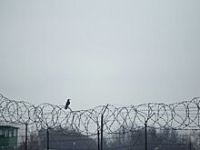 Ещё одного участника СВО из Удмуртии вернули из украинского плена