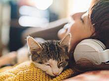 Британские энергетики извинились за издевательские советы по энергосбережению