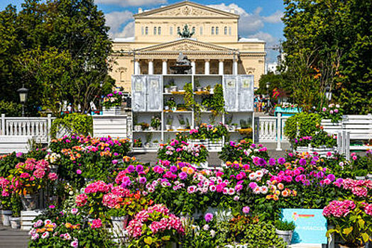 Выходные 31 августа – 2 сентября: фестиваль «Цветочный джем» и «День Бородина‑2018»