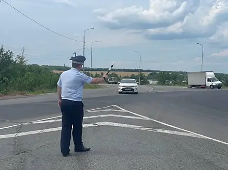 В Самарской области за повторное пьяное вождение мужчина выплатит крупный штраф