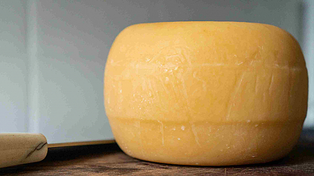 Дистрибьютор Nelt получил четверть бизнеса Moloko Group