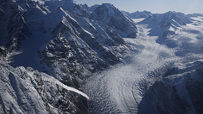 На Западе заявили о выгоде России от угроз Трампа Гренландии