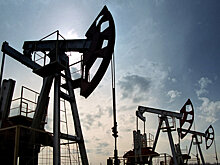 Новак прокомментировал план ОПЕК+ по наращиванию добычи нефти