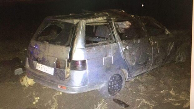 Мужчина скончался в аварии под Саратовом из-за выбежавшего на дорогу лося