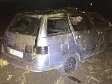 Мужчина скончался в аварии под Саратовом из-за выбежавшего на дорогу лося