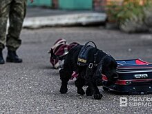 Татарстанская таможня зафиксировала почти трехкратный рост нарушений по вывозу валюты