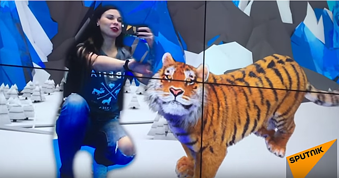 Как попасть в телепорт и клетку с тигром на ВФМС-2017 в Сочи