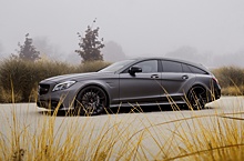 Mercedes-AMG CLS владельца тюнинг-ателье: 742 силы и стелс-окраска