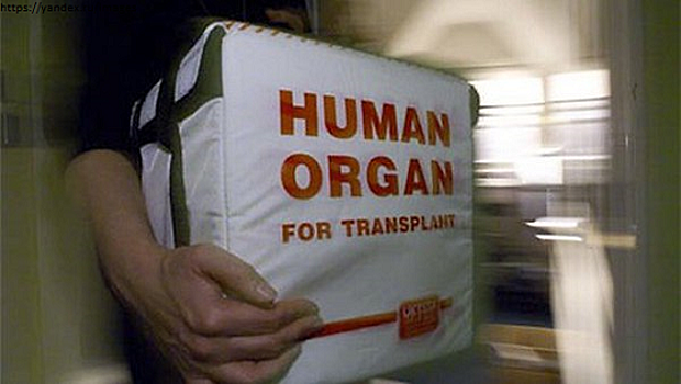 На Украине процветает "черная трансплантология"