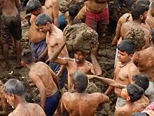 Десятки людей обмазались навозом и принялись швырять его друг в друга