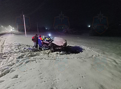 Два человека погибли в искореженном грузовиком авто на трассе "Кола" в Ленинградской области