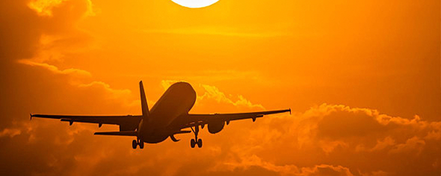 Самолет рейса Иркутск-Москва вынужденно сел в Новосибирске из-за пьяного дебошира