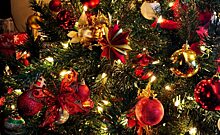 В управе Академического района принимают заявки на новогодние елки от малообеспеченных семей