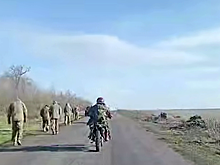 Появилось видео вывода в тыл группы взятых в плен бойцов ВСУ в Красноармейске
