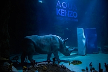Kenzo и АДВ Диджитал подружили носорога с морской фауной
