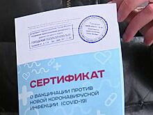 На Алтае будут принимать туристов только по сертификатам и ПЦР-тестам