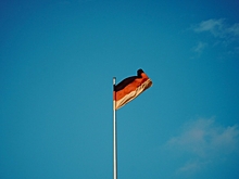 Берлин поддержал дальнобойные удары ВСУ по территории России: главные новости СВО за 9 сентября