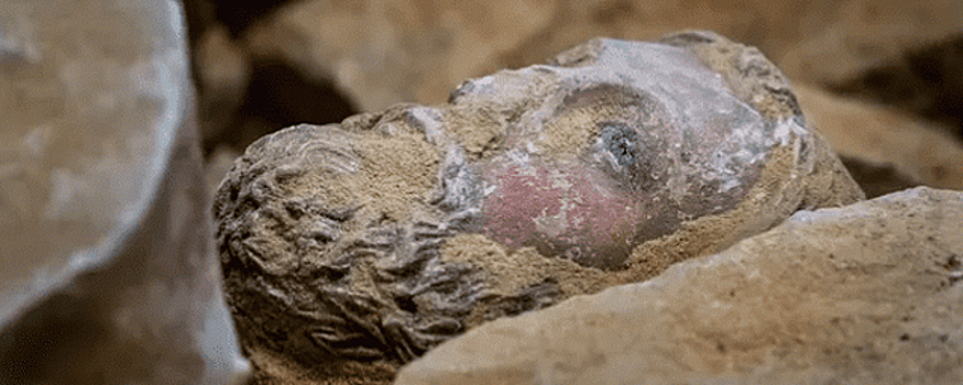 Под собором Нотр-Дам обнаружены древние гробницы и статуи