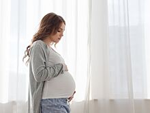 Россиянки смогут бесплатно сохранить яйцеклетки