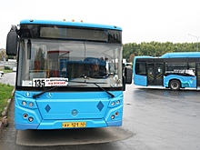 Власти отменили еще часть рейсов сезонных маршрутов в Кемерове