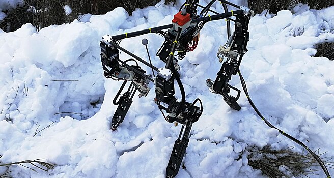 Робот сам научился ходить по снегу, льду и камням