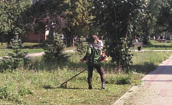 В Курске за неделю покосили траву в 13 скверах