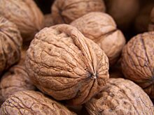 В Екатеринбурге осуждён наркодилер, прятавший мефедрон в грецких орехах