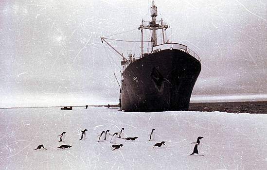 Главархив Москвы знакомит с документами первой советской Антарктической экспедиции