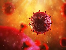 В Канаде обнаружена вспышка неизвестной болезни, вызывающей слабоумие