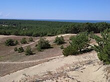 Чем пахнет "солнечный камень", как поют дюны и танцует лес