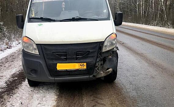 В Железногорском районе водитель микроавтобуса сбил косулю насмерть