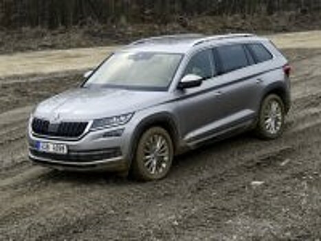 Skoda Kodiaq: не затеряться в общем потоке?