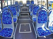 Двух пассажирок резко затормозивших автобусов госпитализировали в столичные больницы