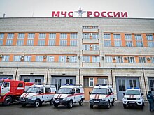 В Татарстане МЧС борется с огнем в садовом товариществе "Березовая Грива"