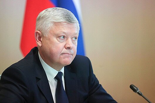 Пискарев не исключил, что в РФ может появиться независимый антикоррупционный орган